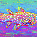 Coelacanth - Ancient Ancestor of the Deep
