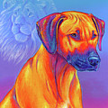 Colorful Rhodesian Ridgeback