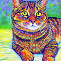 Kevin the Colorful Brown Tabby Cat